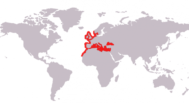 brancin-Dicentrarchus_labrax_map